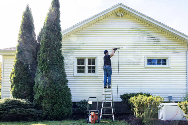 Best Solar Panel Cleaning  in Walls, MS